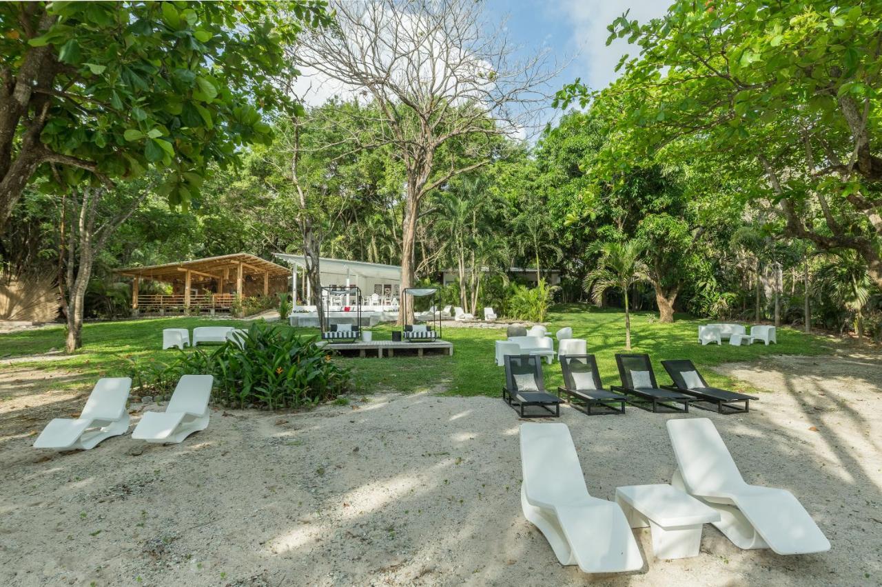 Gigi Brown Beachfront Santa Teresa 말파이스 외부 사진